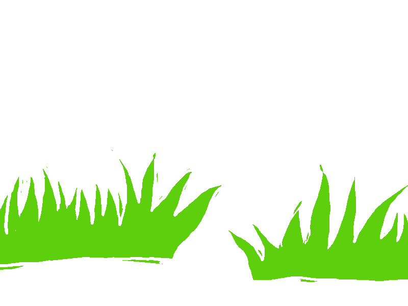 Struiken